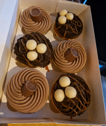 Choco Cakes 6 stuks